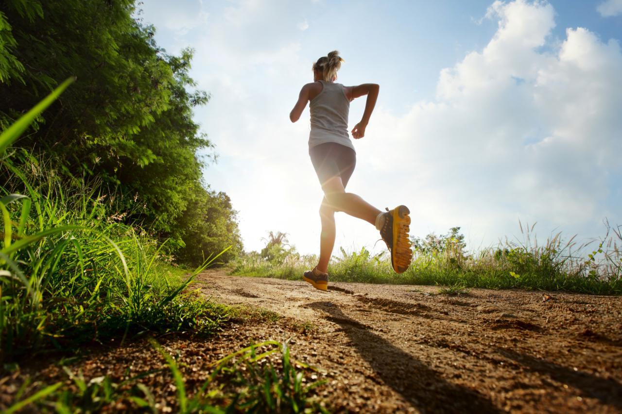 Born to run? The connection between fitness and genetics Born to run? The connection between fitness and genetics