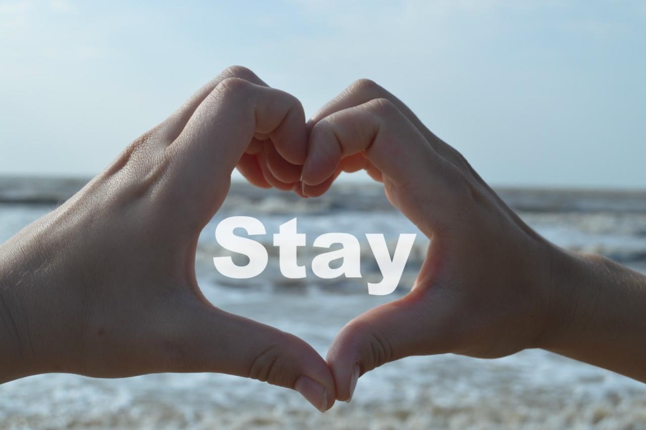 Taylor Swift - Stay Stay Stay (Taylor's Version) (Lyric Video) Chords ... Taylor Swift - Stay Stay Stay (Taylor's Version) (Lyric Video) Chords ...