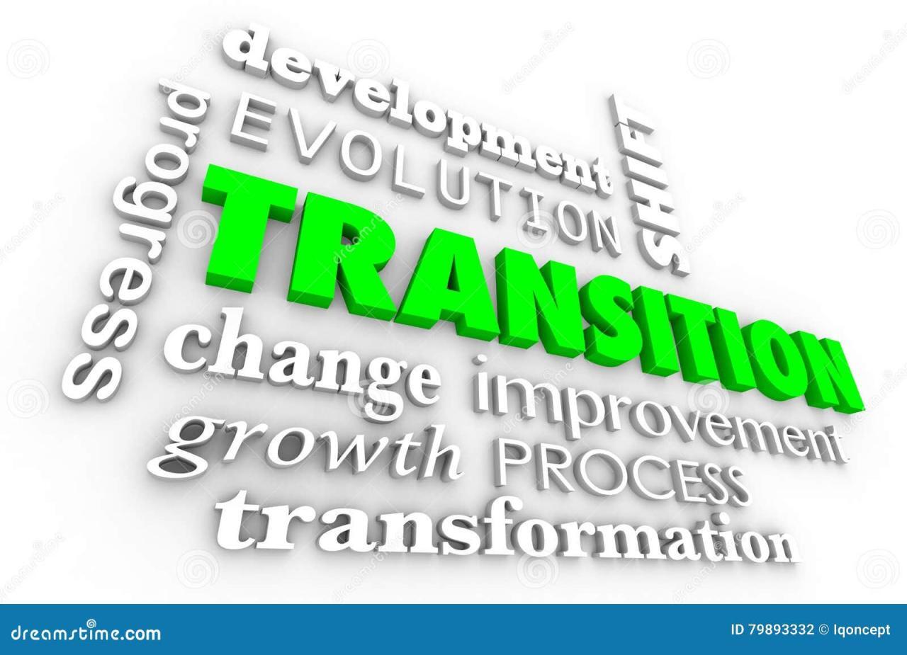 Transition Leadership PowerPoint Presentation Slides - PPT Template Transition Leadership PowerPoint Presentation Slides - PPT Template